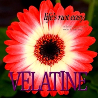 Velatine "Life´s not easy"