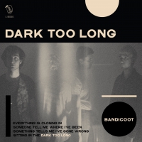 Bandicoot "Dark Too Long" 