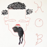 Kingdom of Birds "Kenny"
