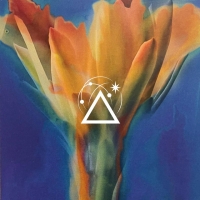 Estela Alcor "Conectar"