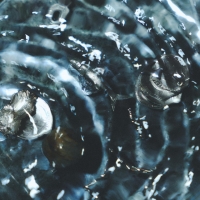 Proxima "Cable Azul"