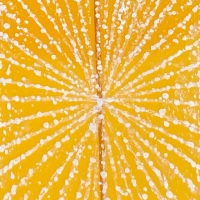 The Surf Shack "Coastal Escape"