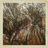 Odd Marshall "On My Way"