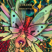 Birds of Vale "Colder"