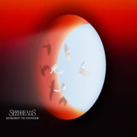 Seedheads, Irie Souljah "Who Are You?"