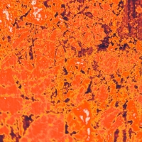 SilverKing "This Time"