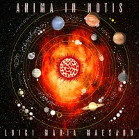 Luigi Maria Maesano "Gravity shift"