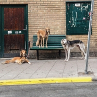 Möbeltassen "Moon Distraction"