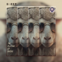 sheep "The Plateau Of Rivers"
