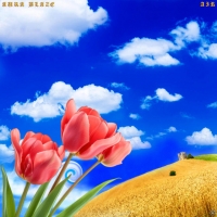 Aura Blaze "Through the Apple Trees"