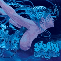 Gnarwhal "Lucid Machines"