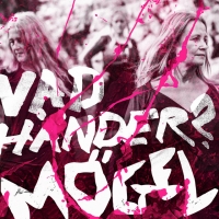 Mögel "Vad händer?"