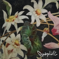 Donkeychote "Balaclava"