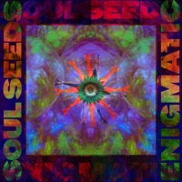 Soul Seeds "Enigmatic"